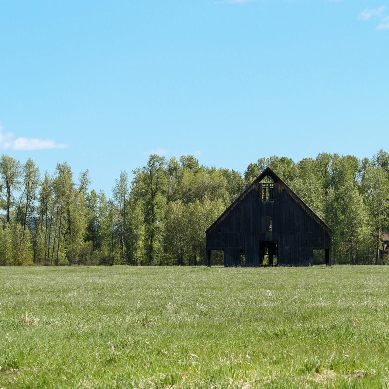 FRLT Nature Journaling Club at Olsen Barn Meadow - logo